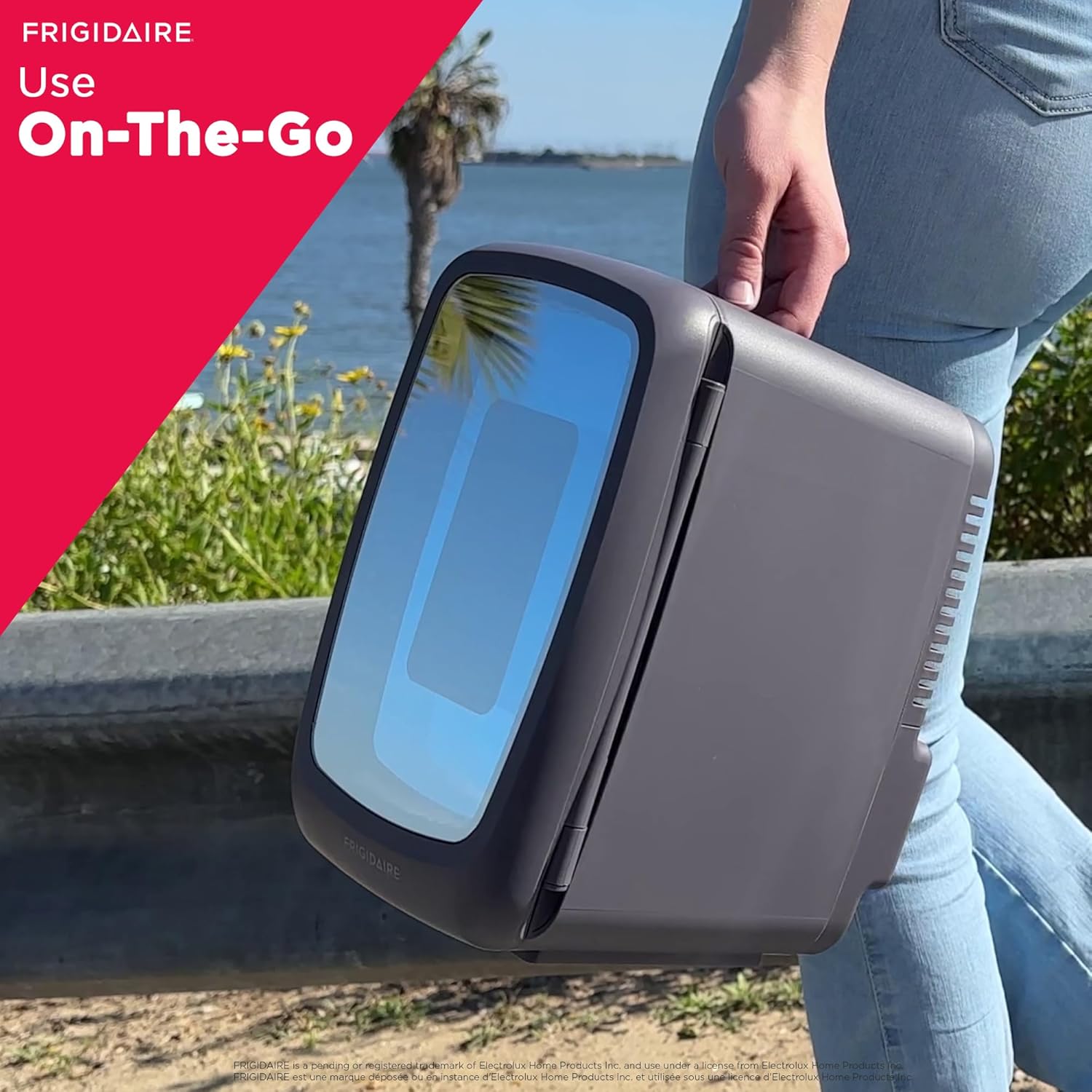 Gaming Light Up Mini Beverage Refrigerator, 6 can, 4 liters, Cooler with large see through door and LED lights Perfect for Gaming Experience, Home, Office, or Cars.12V Charger