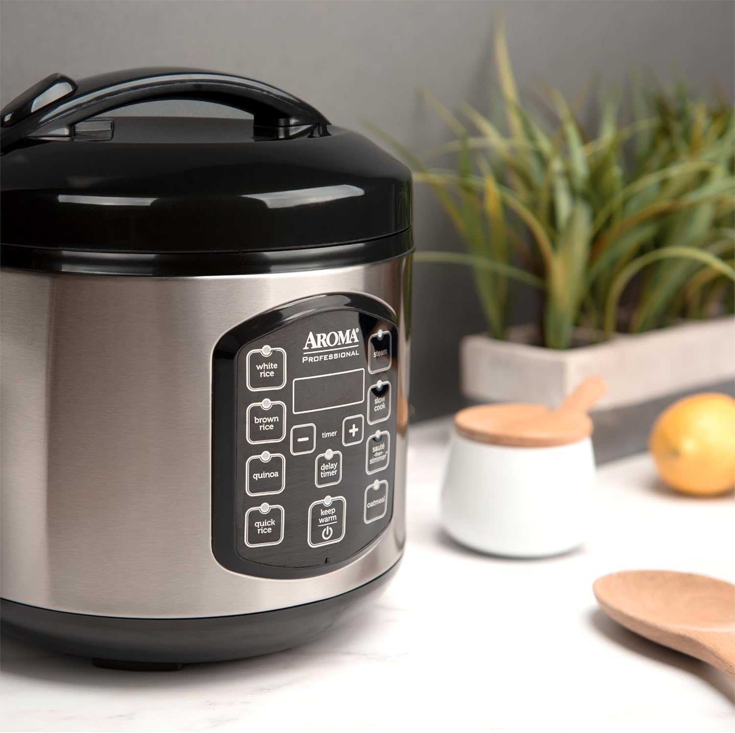 Professional Digital Rice Cooker, Multicooker, 4-Cup (Uncooked) / 8-Cup (Cooked), Steamer, Slow Cooker, Oatmeal Cooker, STS, Auto Keep Warm, 2 Qt, Stainless Steel