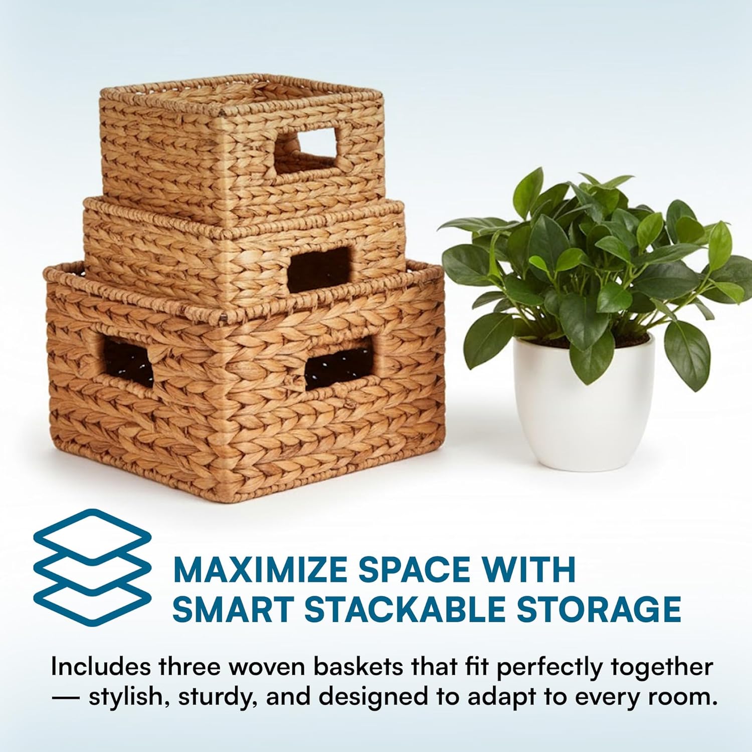 Banana Leaf Storage Baskets –Water Hyacinth Woven Basket, Decorative Baskets for Shelves, Basket for Gifts, Closet, Pantry, and Home Organization, Set of 3, Multi-Size