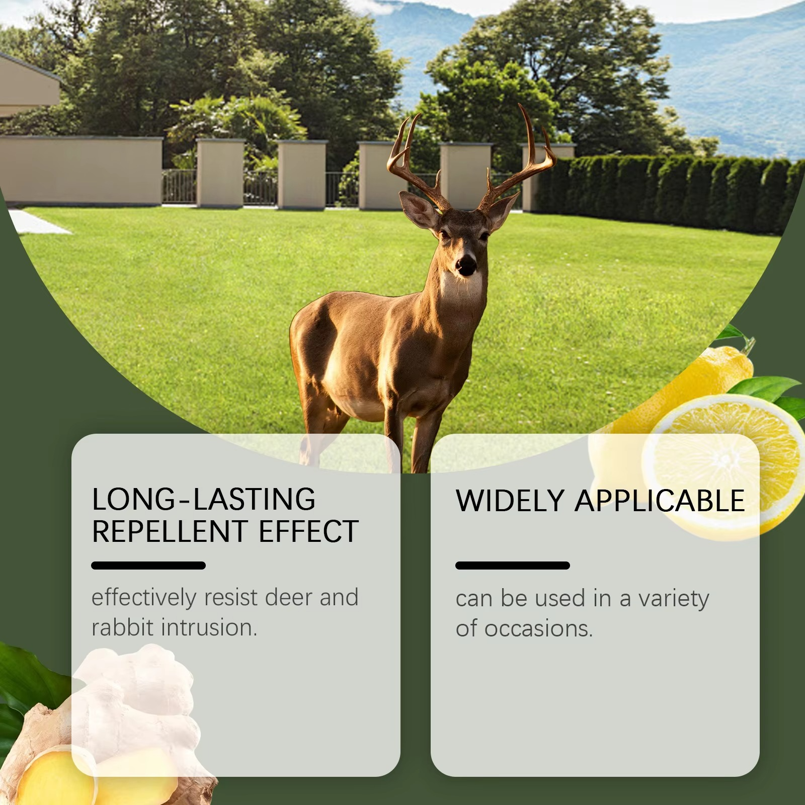 10PCS Mouse Rodent Repellent, Natural Mouse Repellent Peppermint Oil for Mice, Rats, Squirrels, Spiders and Pests, Keeps Pests Away Effectively from Garden & Home