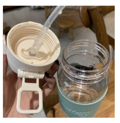 500ml Portable Water Bottle with Straw – Cute Leak-Proof Plastic Drinking Bottle for Milk, Coffee, Tea & Juice
